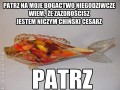 Bogactwo