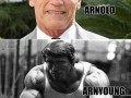 Arnold