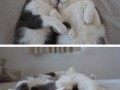 Awwwww