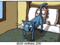 Good morning