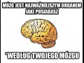Mózg