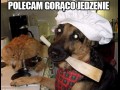 Polecam