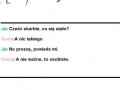 Opis