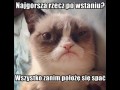 Wszystko