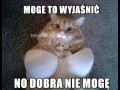 Przypał
