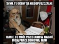 Synu