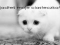 Ciasteczka