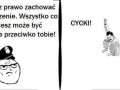 Cycki