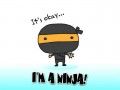 Ninja