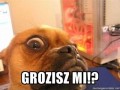 Grozisz mi