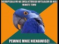 Nienawiść