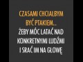Ptaki