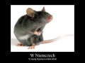 Niemcy