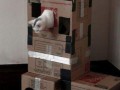 Best box ever