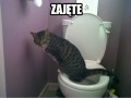 Zajęte