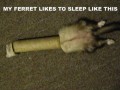 Sleep
