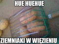 Hue hue hue