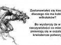 Potwory