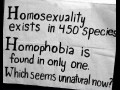Homofobia