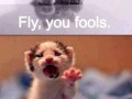 Gandalf