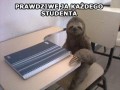 Student