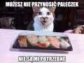 Kotełek