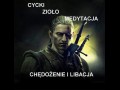 Wiedźmin