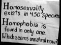 Homo