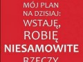 Plan na dziś
