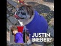 Justin