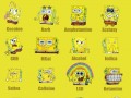Sponge