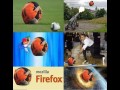 Robben