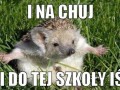 Szkola