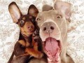 Selfie