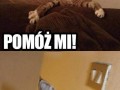 Skaza