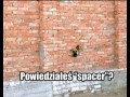 Spacer