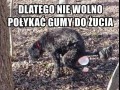 Nigdy tego nie rób