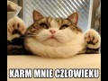 Karm mnie