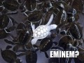Eminem