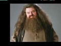 Hagrid