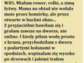Lubię to