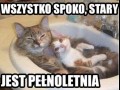 Wszystko pod kontrolą