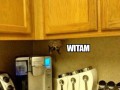 No witam