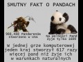 Pandy