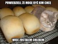 Jestę chlebę