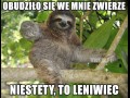 Leń