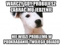 Logika psa