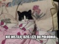 Niedziela