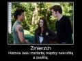 Zmierzch