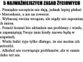 Zasady